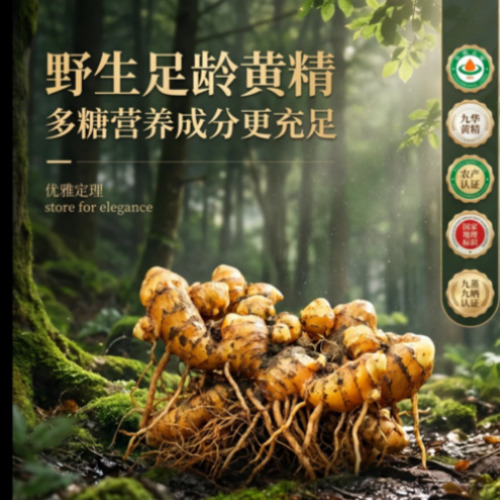 AIGC多模态数字内容设计
